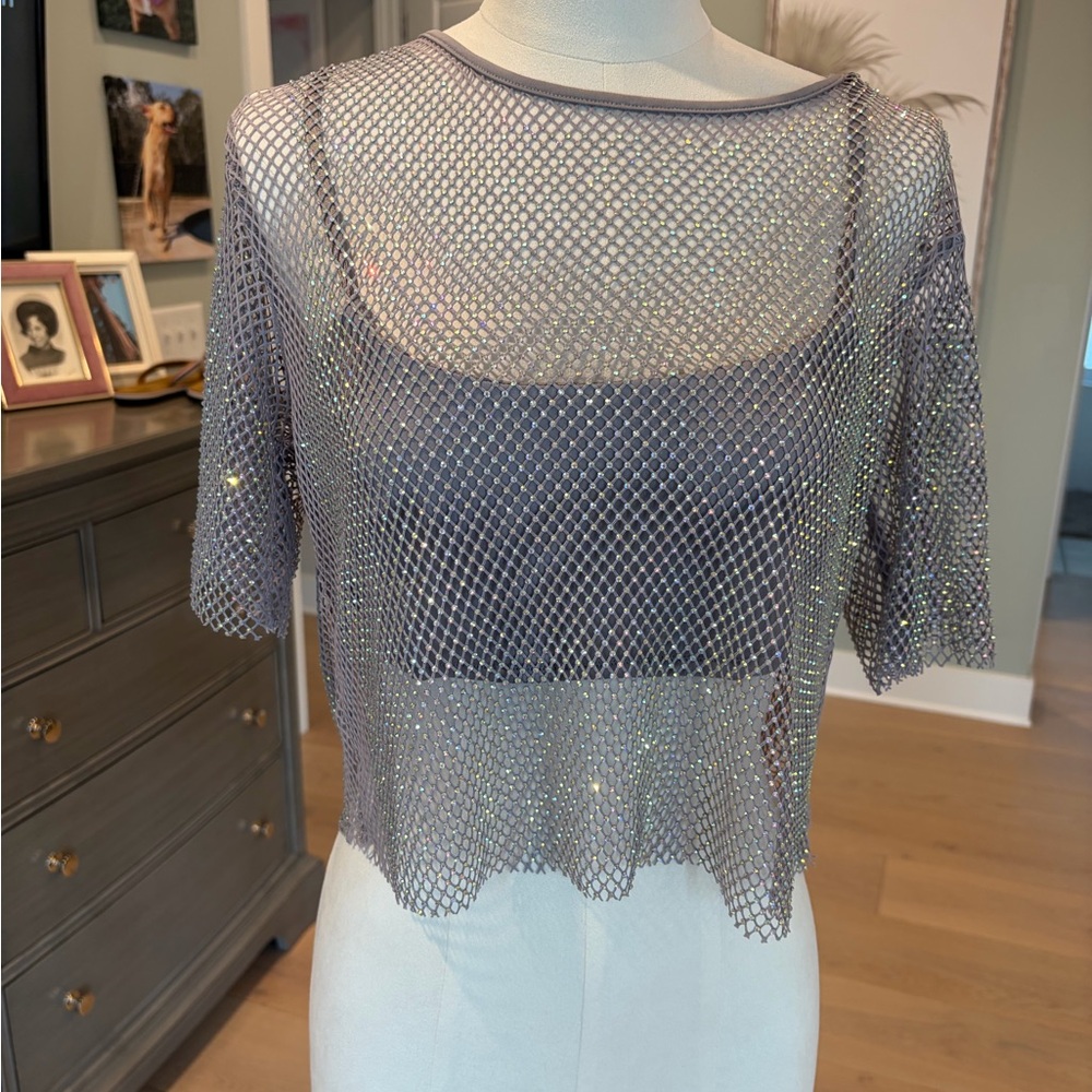 Astr Shimmering Silver Mesh Crop Top